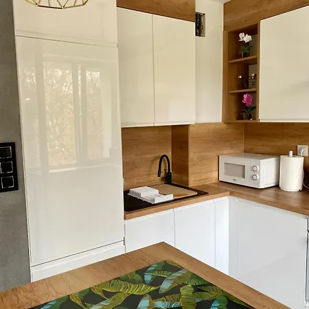 Modlin Apartment